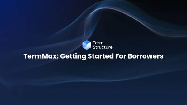 TermMax: Getting Started For Borrowers.